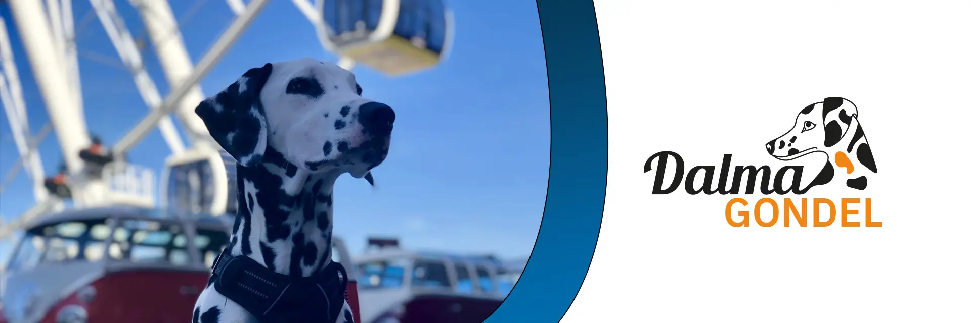 Dalmatiner Emma vor dem Umadum Riesenrad in München mit dem Logo der „Dalma Gondel“